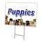 Signmission Puppies Yard Sign & Stake outdoor plastic coroplast window, C-1216 Puppies C-1216 Puppies - alternate 1